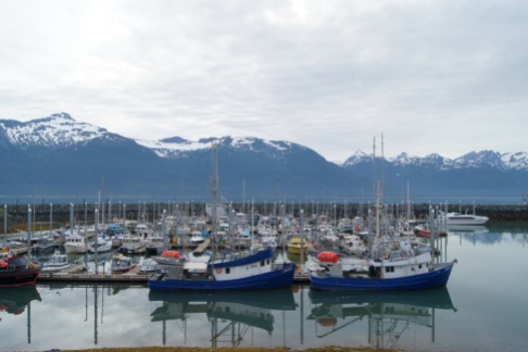 I walked around Haines Harbor in the early morning