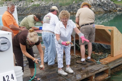 Joyce and crew cleaning crabs on the dock