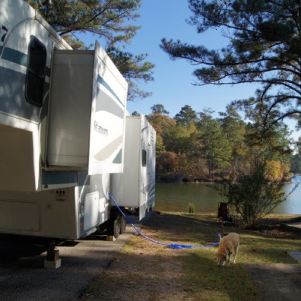 R Schaefer Heard COE Campground on West Point Lake Site 113
