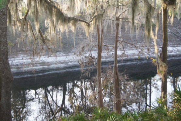 Way down upon the Suwanee River at Stephen Foster Folk Culture Center, January, 2103