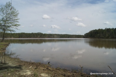 View of J Strom Thurmond Lake from Site 10 at Winfield Campground
