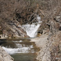 Waterfalls and Wildflowers at Natural Bridge, Virginia