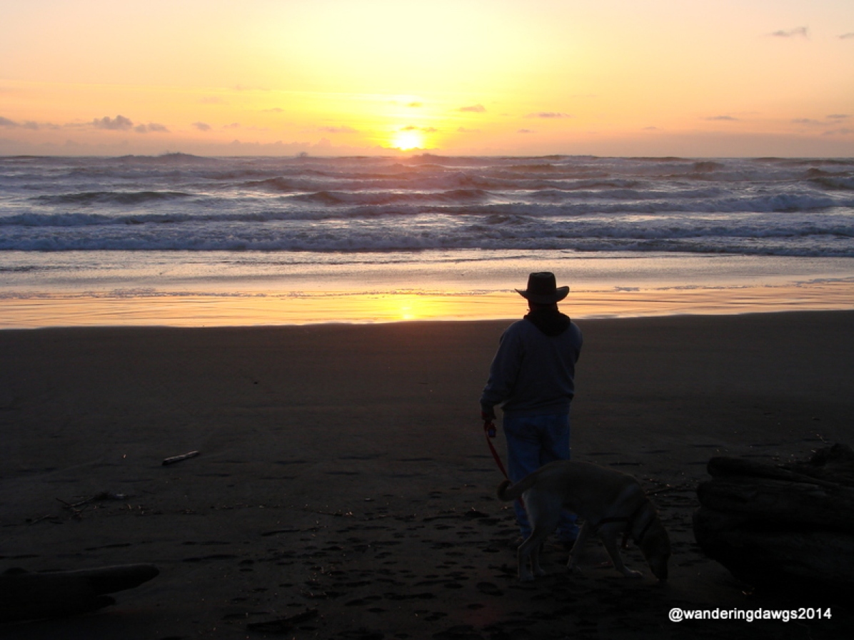 Henry enjoying a beautiful sunset at Cape Disappointment