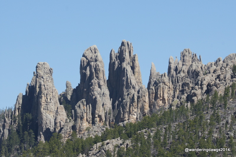 Along the Needle Highway in Custer State Park