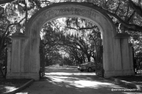 Entrance Gate to Wormsloe