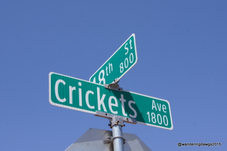 Crickets Avenue in downtown Lubbock