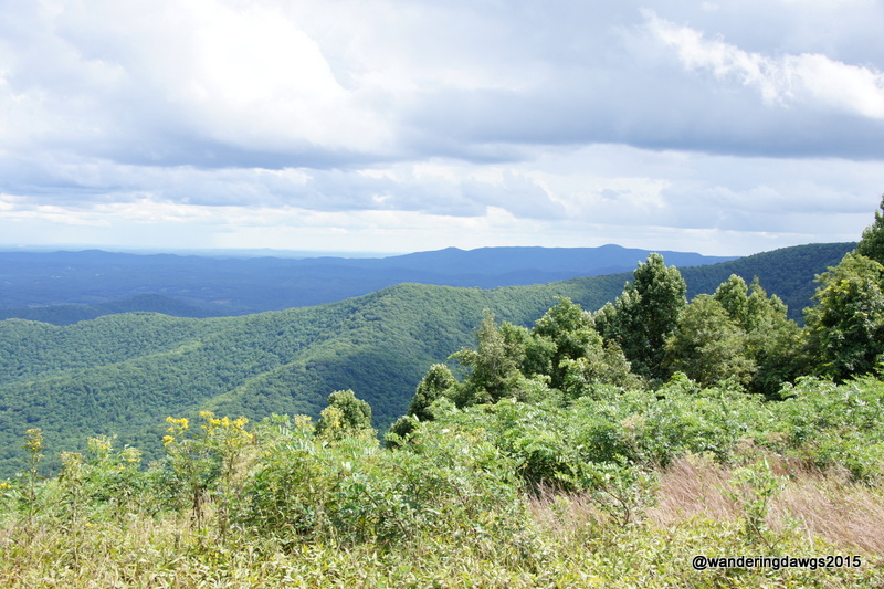 Blue Ridge Parkway from overlook at Rocky Knob Visiter's Center