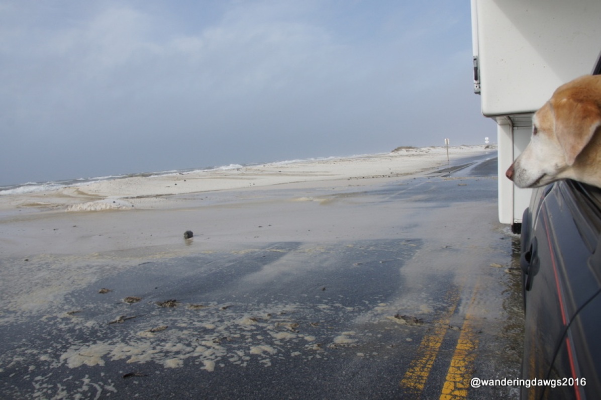 Water on Fort Pickens Road