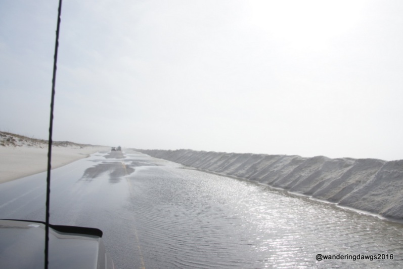 Water on Fort Pickens Road