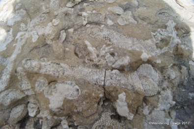 Devonian Fossil Gorge, Iowa