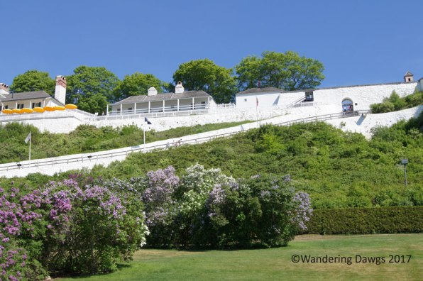 Lilacs were blooming at Fort Mackinac