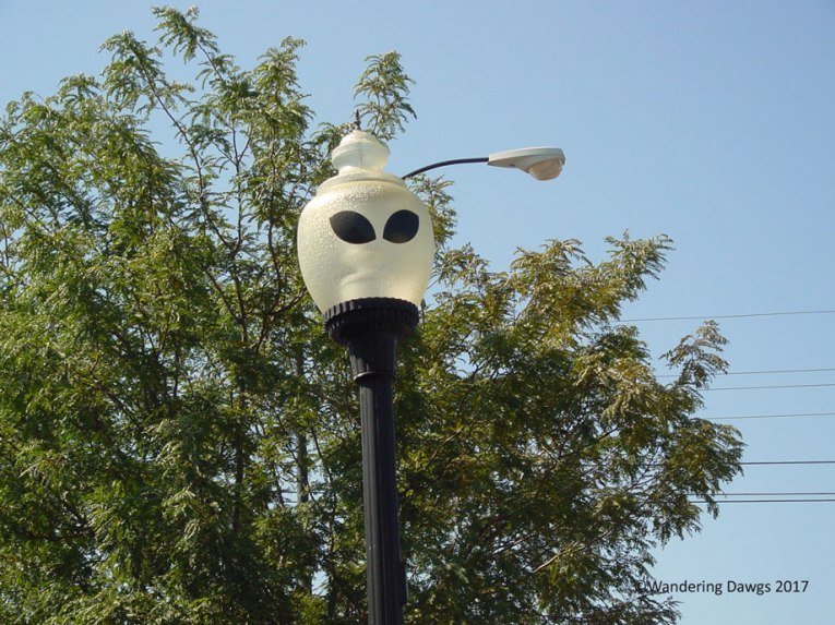 Street Lamp in Roswell, NM