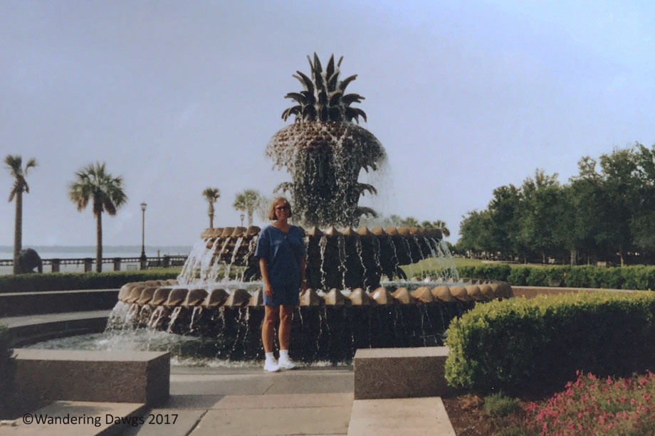 1997Pineapple Fountain