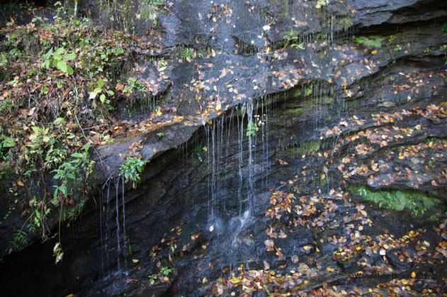Ada-Hi Falls in Black Rock Mountain State Park