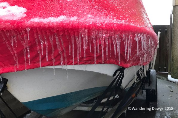 Even the boat cover was covered with icicles
