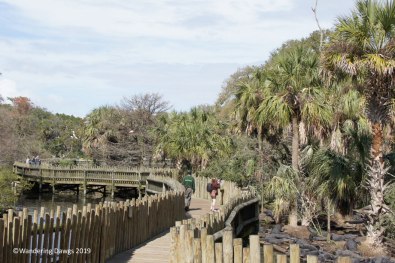 Boardwalk through the Saint Augustine Alligator Farm Native Swam and Rookery