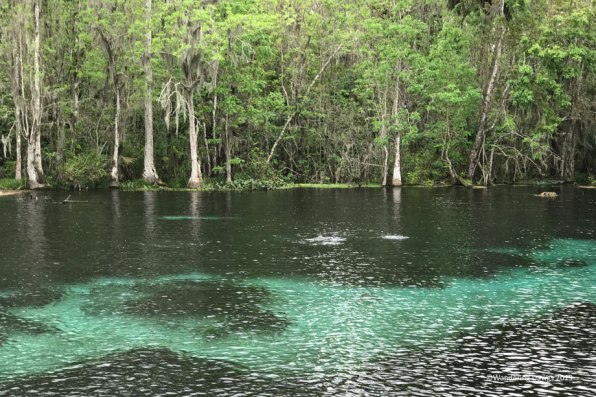 Silver Springs State Park