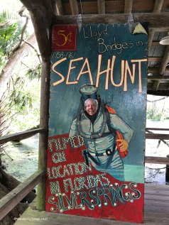 Sea Hunt overlook at Silver Springs State Park